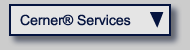 Cerner® Professional Services